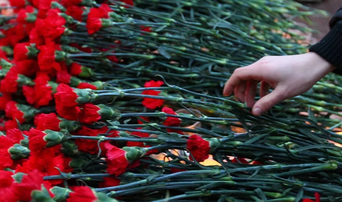 Фото: РИА "Новости" (https://cdnn21.img.ria.ru/images/91473/98/914739864_0:105:2000:1230_640x0_80_0_0_55d4bdd0be412732c88d750f537e8968.jpg.webp)