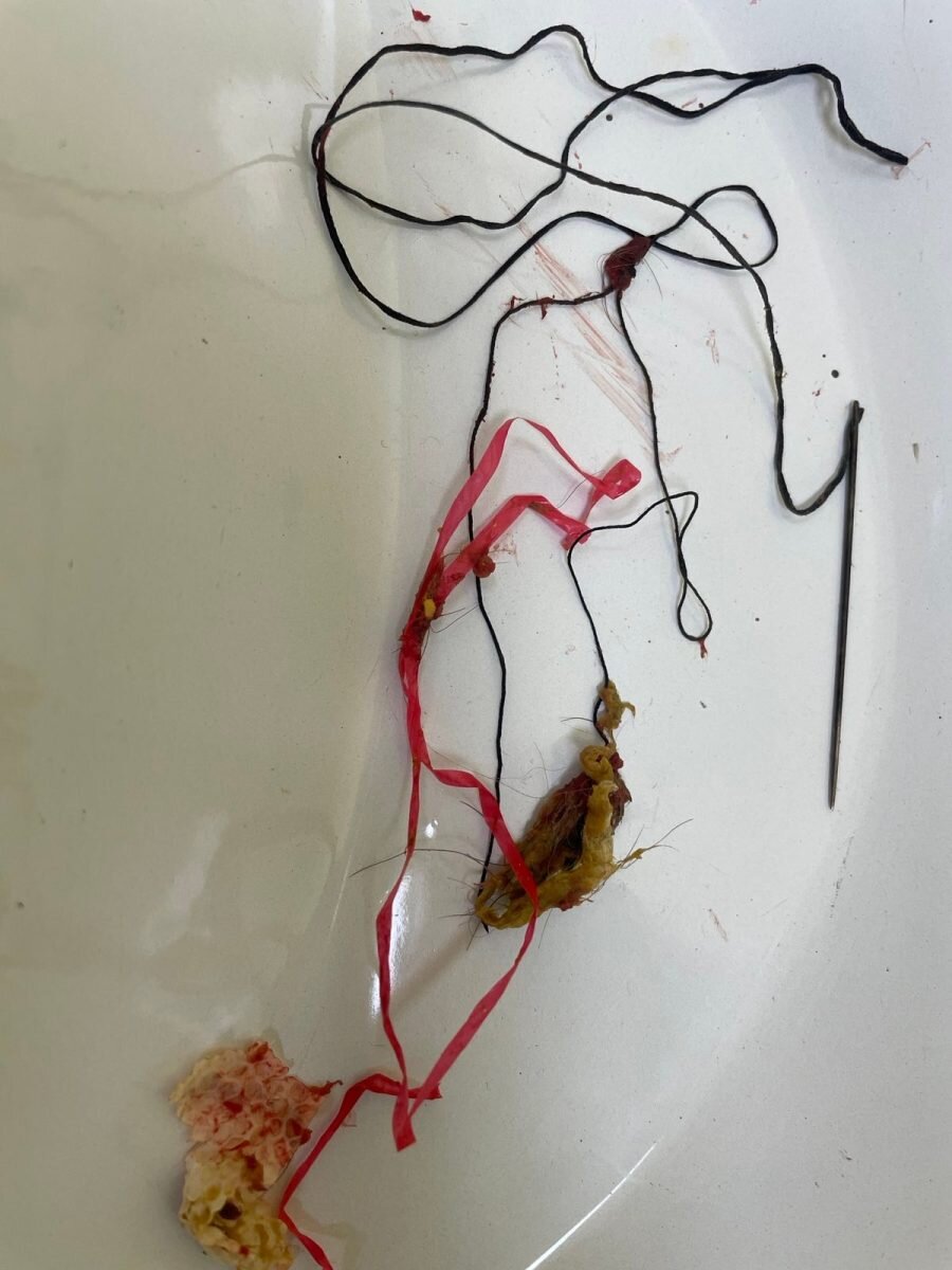    Госветуправление Нижнего Новгорода ВКонтакте