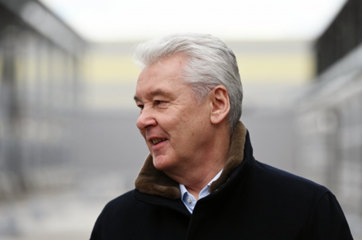    Собянин: число маршрутов речного транспорта к 2030 году увеличится до семи