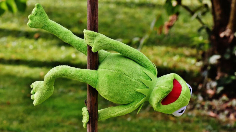     Стриптиз. СС0