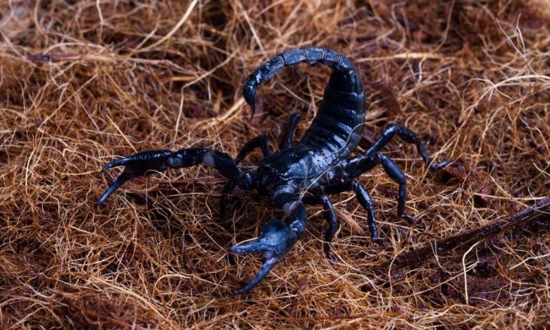 Фото freepik.com