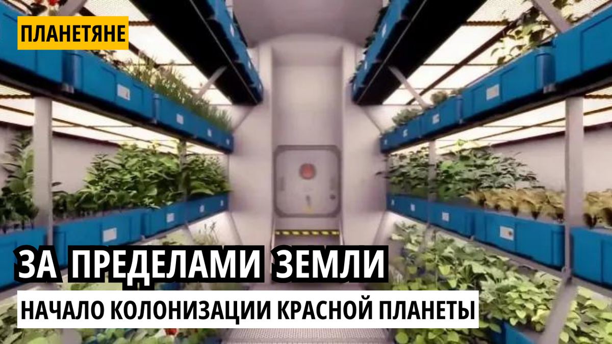 За пределами Земли: начало колонизации красной планеты.