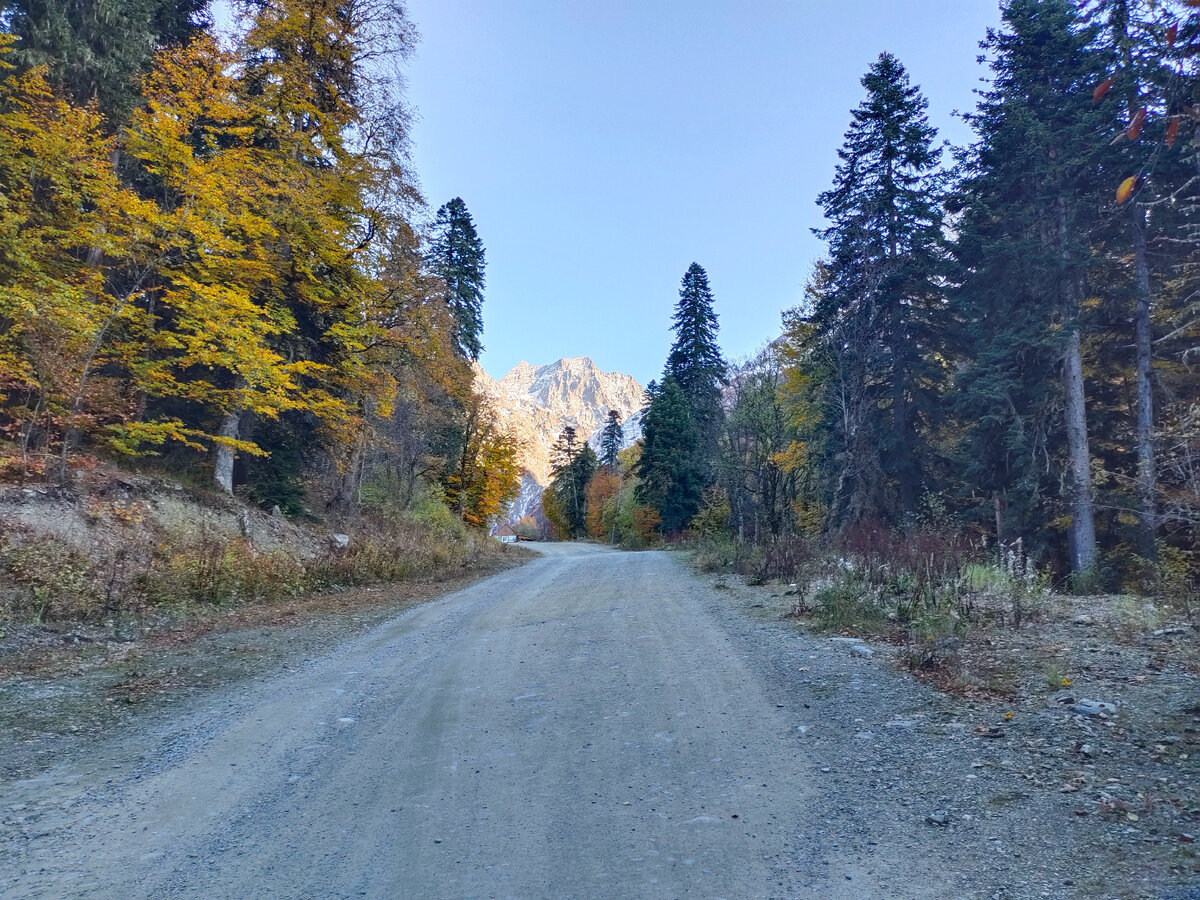 Где-то в начале пути...