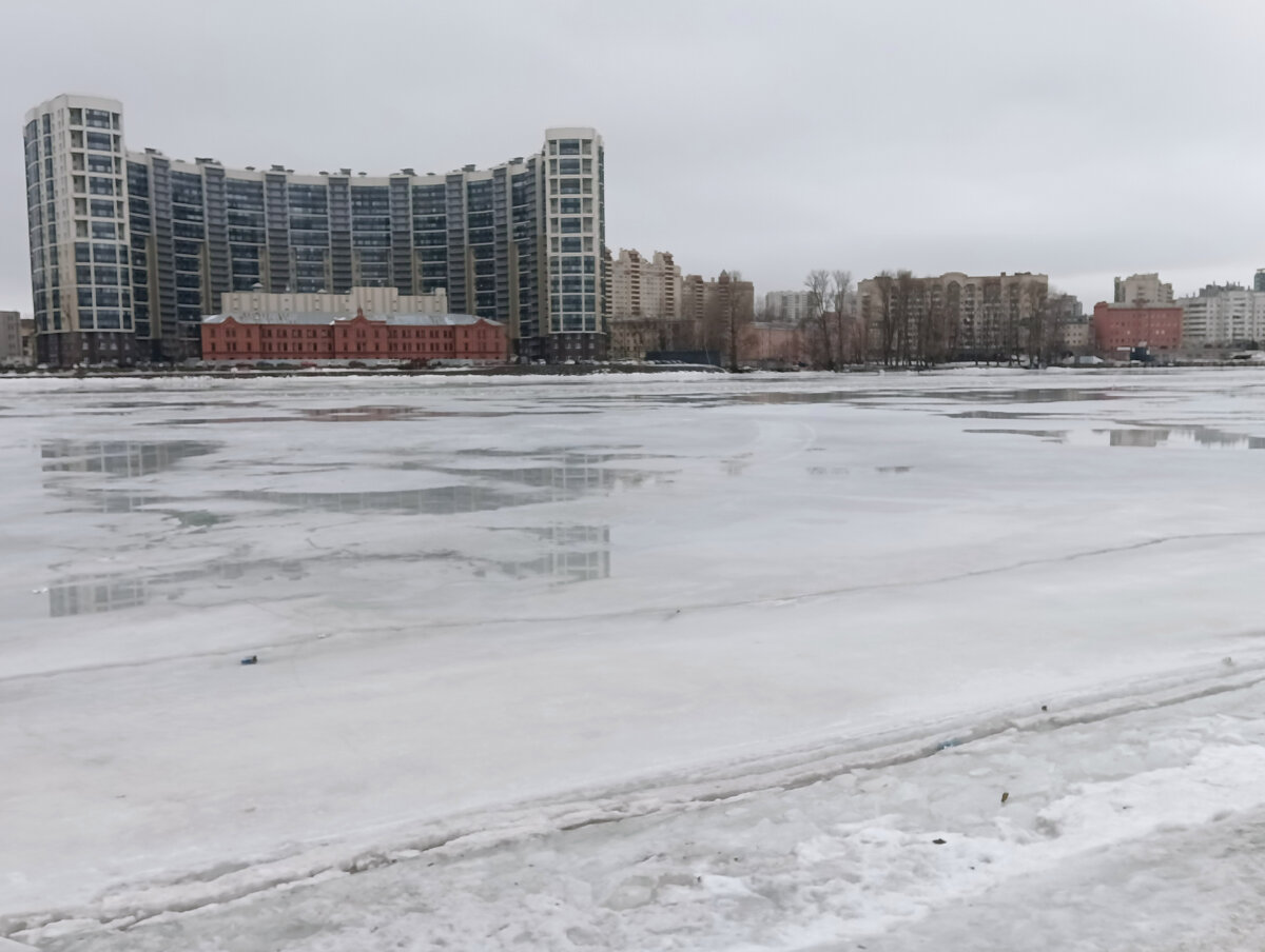 Все фото в статье авторские. Нева у дома. 