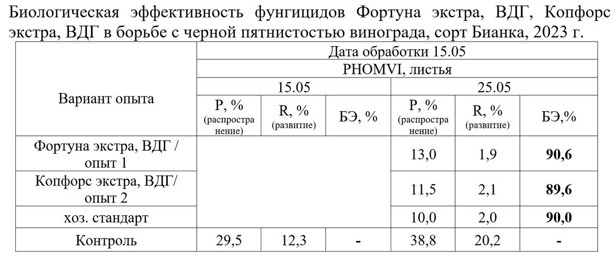 Оценка биологической эффективности фунгицидов Фортуна экстра, ВДГ и Копфорс экстра, ВДГ в системе защиты от черной пятнистости на винограде, сорт Бианка проводилась сотрудниками ФГБНУ...-1-2