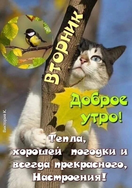 Фото из интернета.