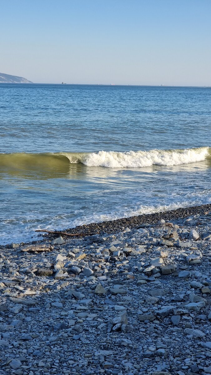 Пожалели о переезде в Новороссийск? | Я живу на море🌊 | Дзен