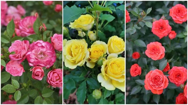 Интересные идеи из дерева. Делай сам дома. Идеи для дома своими руками. Поделки для дома. Делай сам дома.