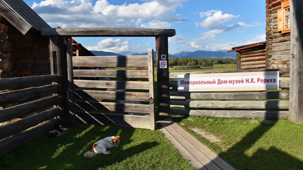 А мы отправляемся в село Верх-Уймон Усть-Коксинского района, где находится мемориальный Дом-музей великого русского художника Николая Константиновича Рериха.-2