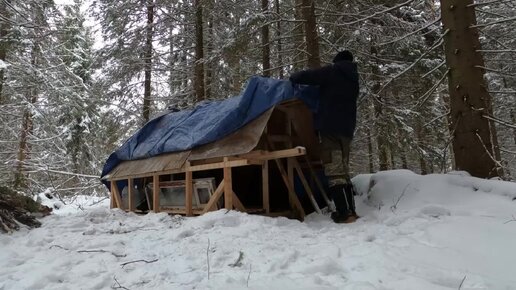 Дом в лесу своими руками из того, что смогли найти