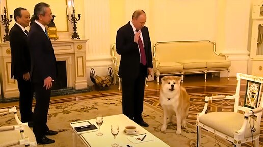 Как выглядит собака путина 
