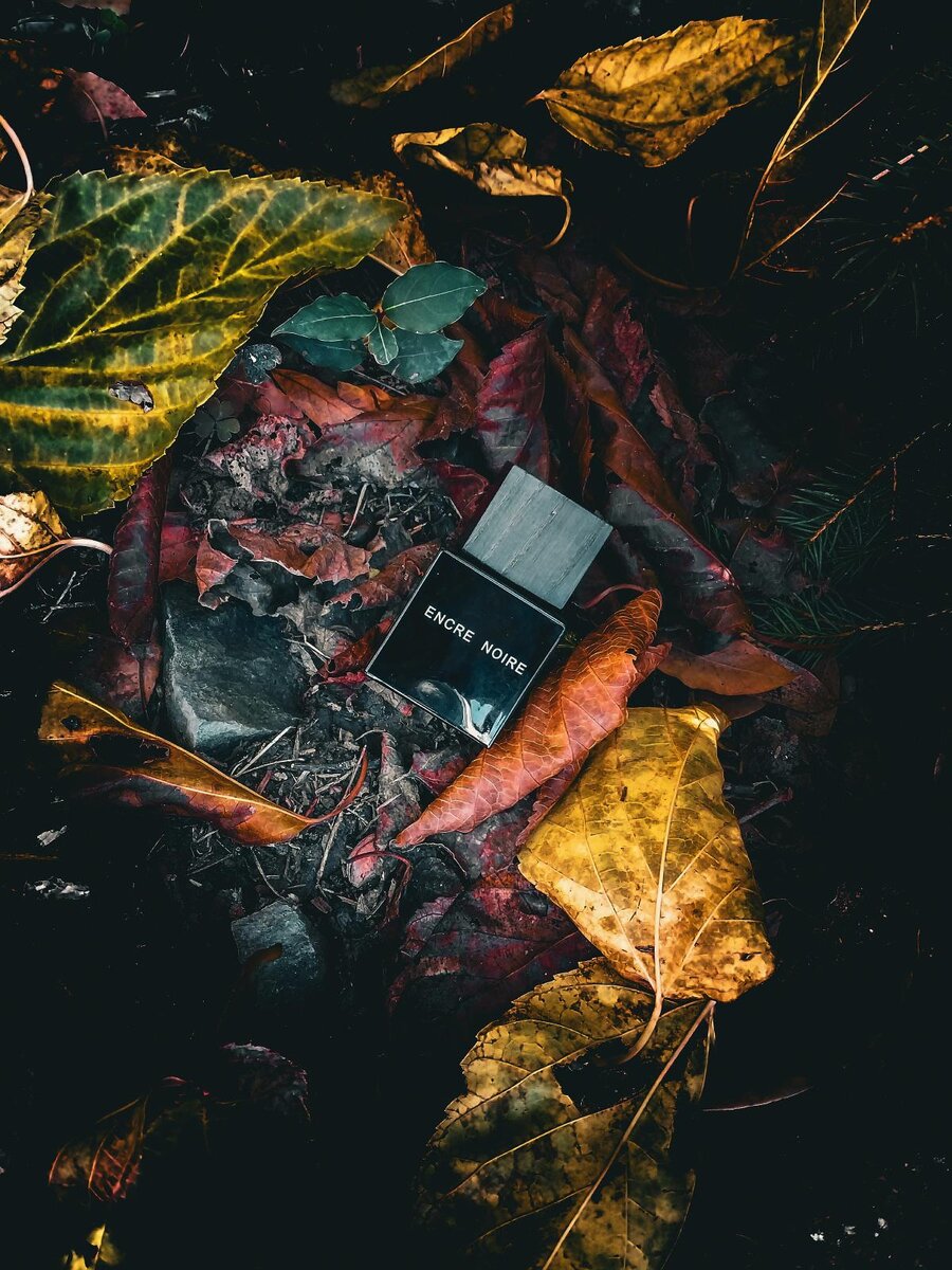 Дождь 🌧️, мокрый хвойный лес 🌲. Вы идете по ломаным мокрым бревнам ( трухлявым бревнам 🪵 ), остановились передохнуть и застыли от запаха этой атмосферы.. Вот так пахнет этот величайший Аромат! Если вы его увидите, берите и бегите, только никому не показывайте. Его захотят все!