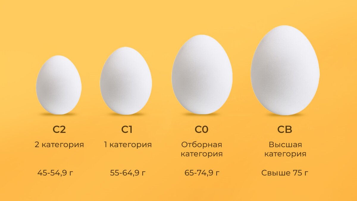 Категории яиц Источник https://ld7.ru/sorta/sort-yayca-s1