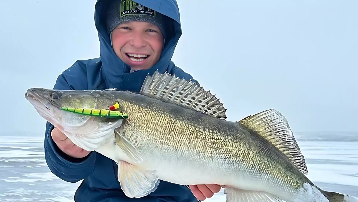     Крутейшим уловом похвастался в соцсетях волгоградец Максим Арестов. Рыбак поймал огромного судака на Волгоградском водохранилище.