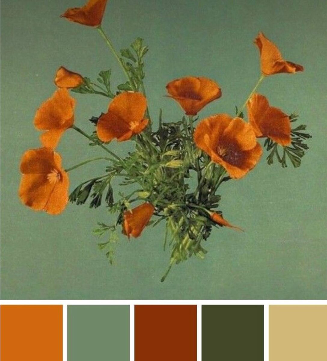 Цвет - одно из самых важных аспектов дизайна интерьера. Он не только создает уют и атмосферу в помещении, но также влияет на наше настроение и эмоциональное состояние. Психология цвета давно изучается и широко применяется в дизайне интерьера.