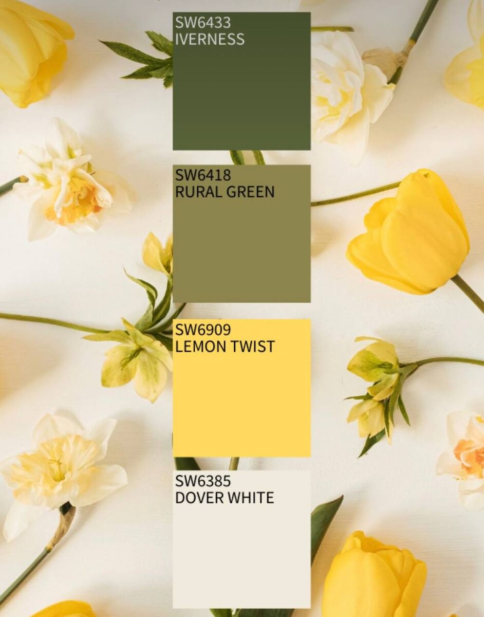 Каждый цвет имеет свои особенности и влияет на нас по-разному. Например, красный цвет ассоциируется с энергией, страстью и агрессией. Его лучше использовать в гостиной или спальне, где он создаст атмосферу тепла и уюта. Однако, не стоит переусердствовать с этим цветом, чтобы не создать слишком напряженную обстановку. 
Синий цвет, напротив, успокаивает и расслабляет. Он отлично подойдет для спальни или кабинета, где нужно создать атмосферу спокойствия и концентрации. Зеленый цвет также имеет успокаивающее воздействие и прекрасно подойдет для спальни или рабочего кабинета.

Желтый цвет ассоциируется с солнцем и радостью. Он отлично подойдет для кухни или детской комнаты, где он создаст атмосферу тепла и уюта. Фиолетовый цвет символизирует роскошь и изысканность. Он подойдет для гостиной или спальни, где он создаст атмосферу роскоши и изысканности.