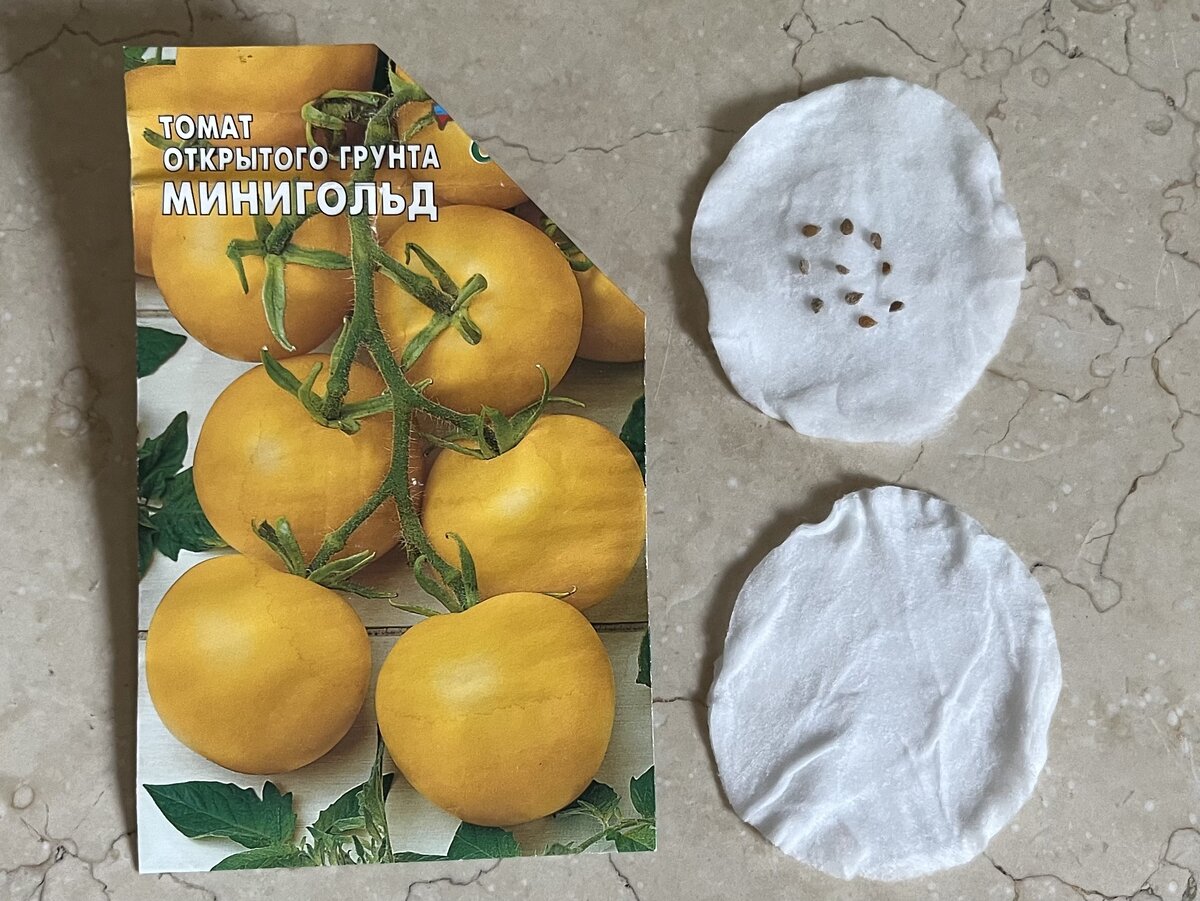 Семена томатов Минигольд