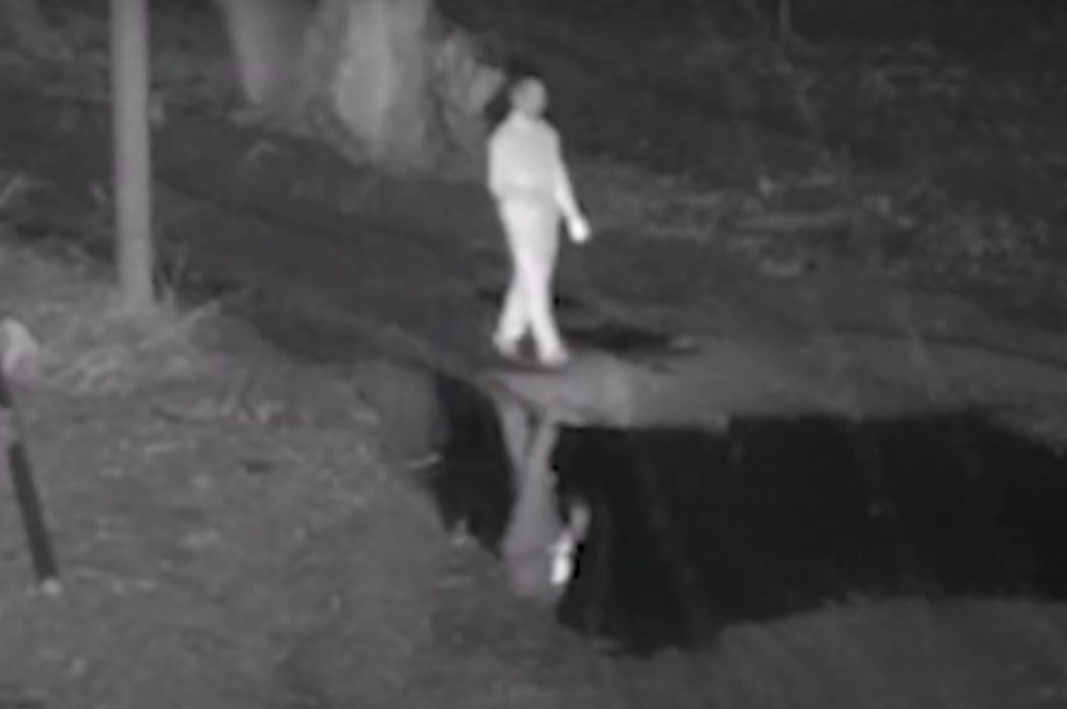    На границе Польши с РФ задержали британца, шедшего к невесте в Петербург