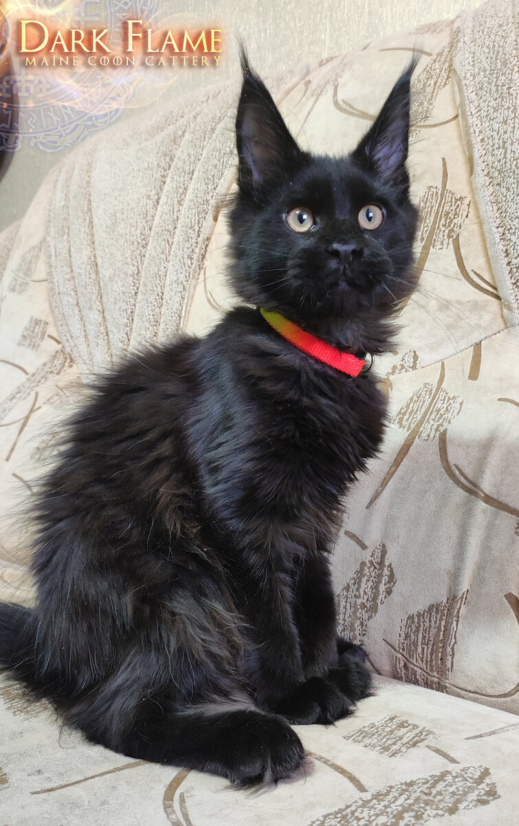 Фото из личного архива