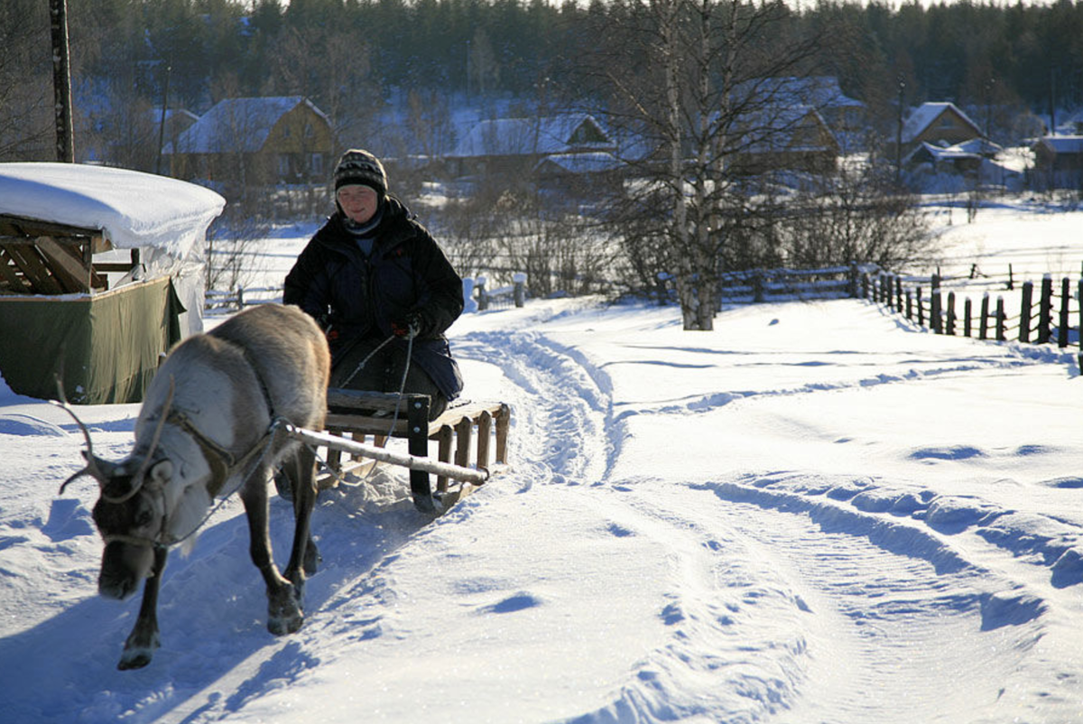 баренцево море на карте. белое море от москвы. белое море от москвы. карта белого моря с островами. где находится белое море на карте.