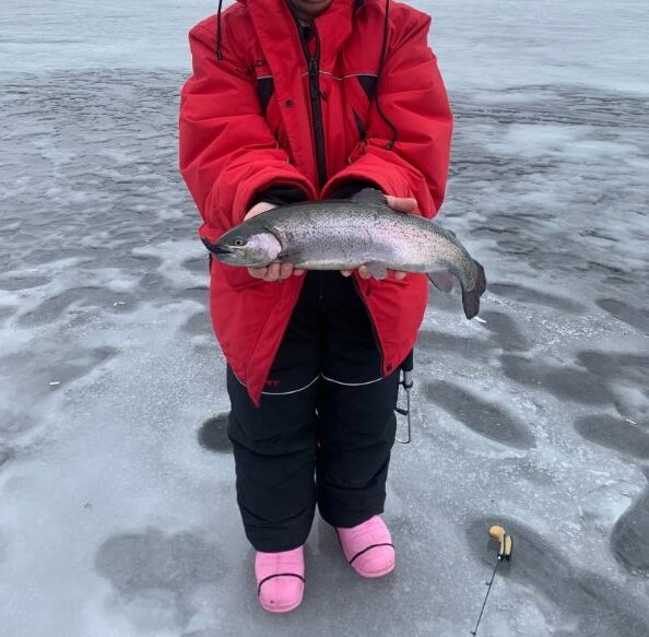 Посёлок черёмухино. Черемухино приозерский район. Залив черемухинский черемушкинский ладога. Мыс черемухина. Пляж в черемухино приозерский район.