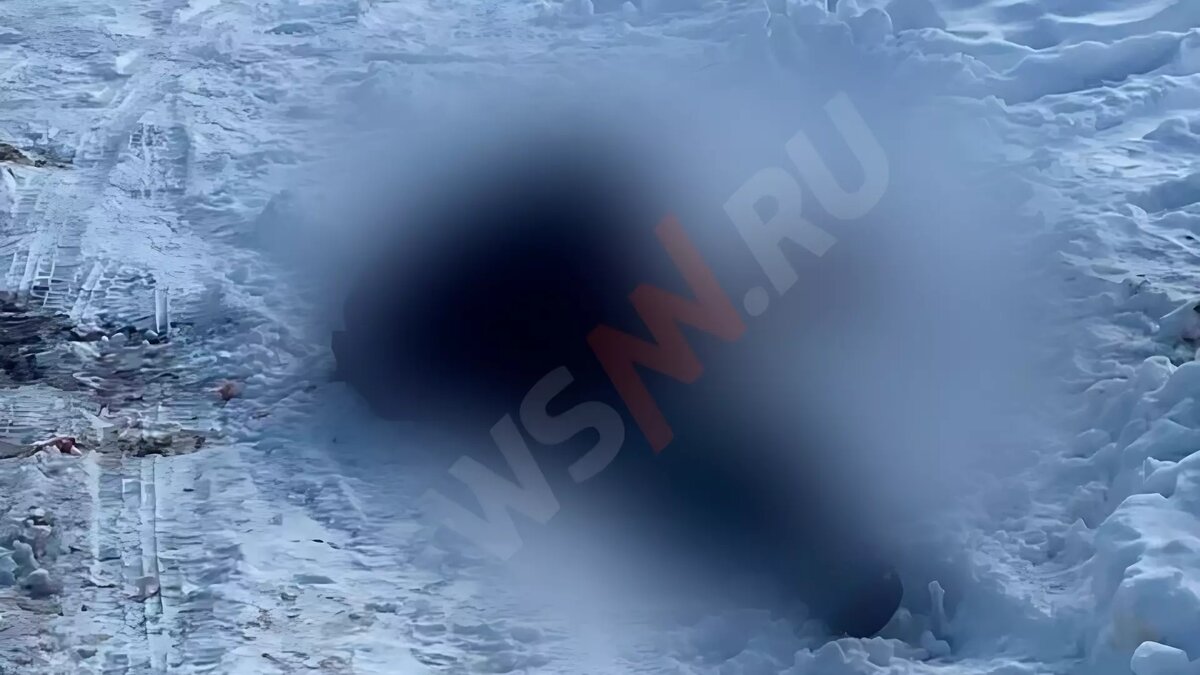     Тело сбежавшего с ружьем 18-летнего парня нашли в Городце. Об этом NewsNN сообщил источник, знакомый с ситуацией.