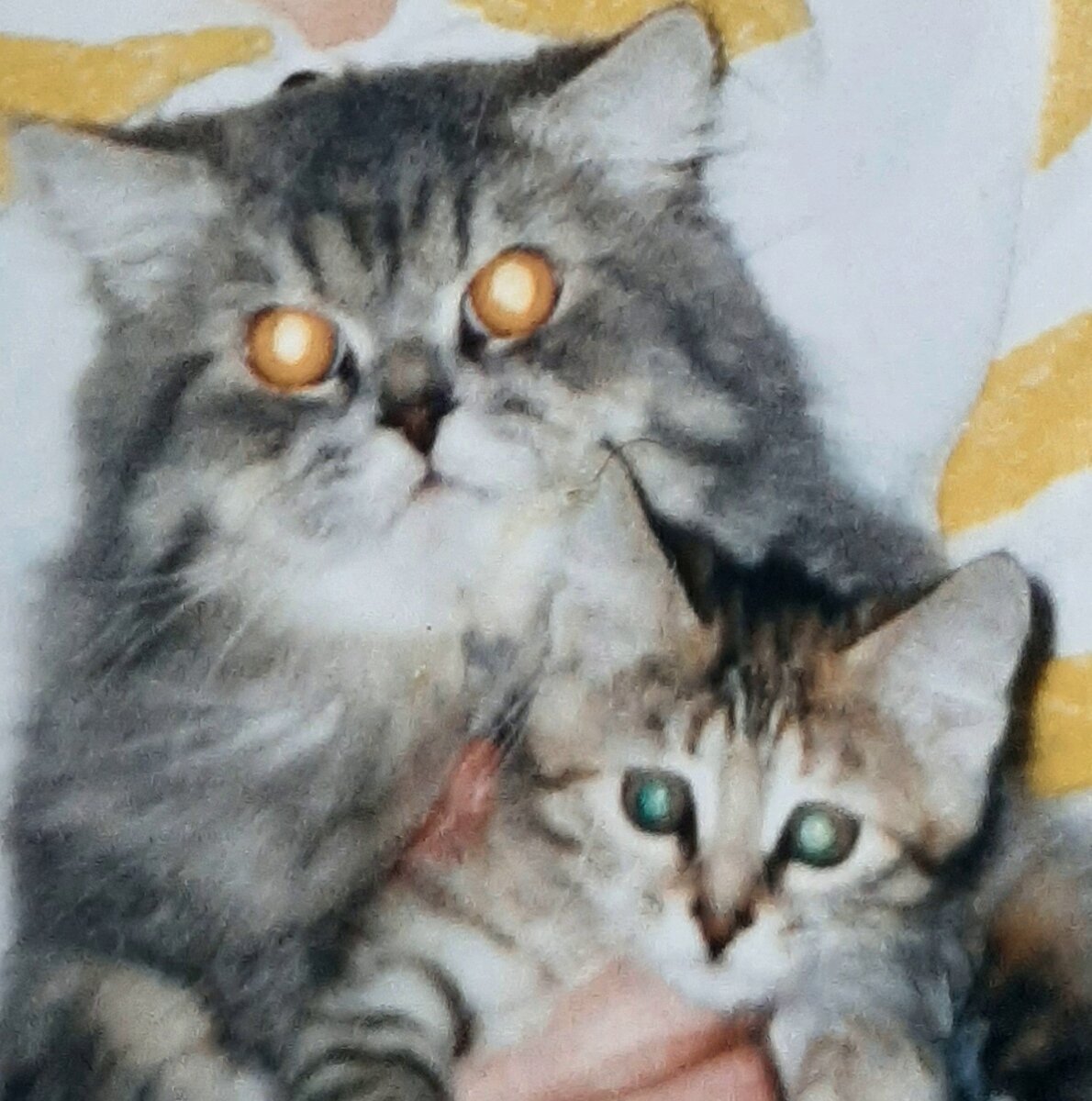 Наша Матильда