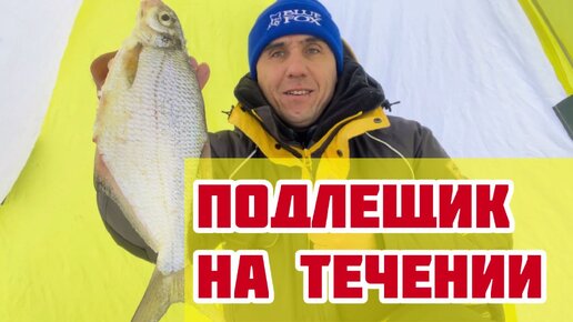 почти невидимые рыбы. руны гебо и отал. руническая защита ёж. зимняя рыбалка. Helena leleka.