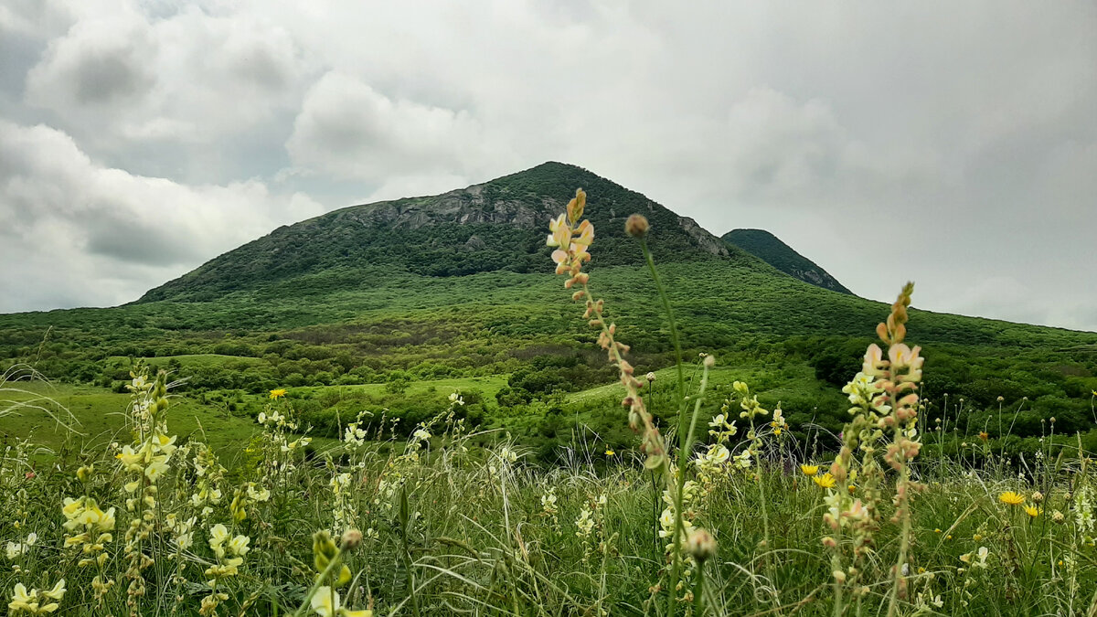 Гора Верблюд