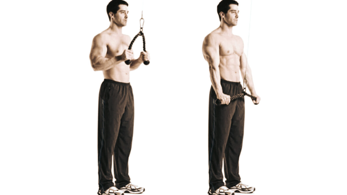 Тренируйся регулярно