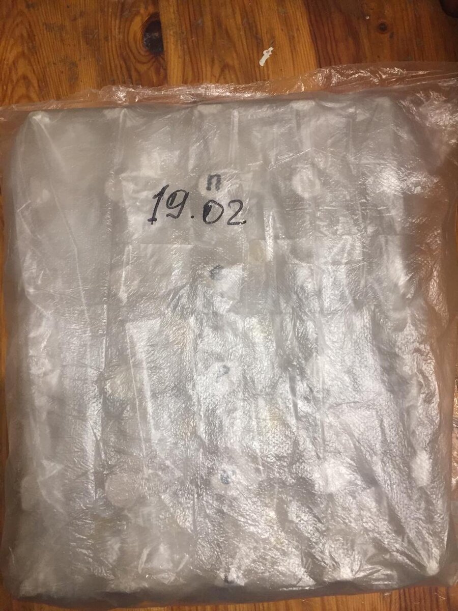 В таком виде перцы прорастают.