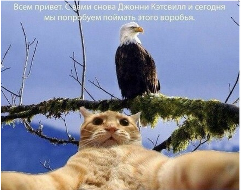 источник яндекс картинки