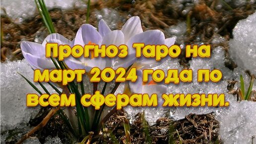 Прогноз Таро на март 2024 года по всем сферам жизни.