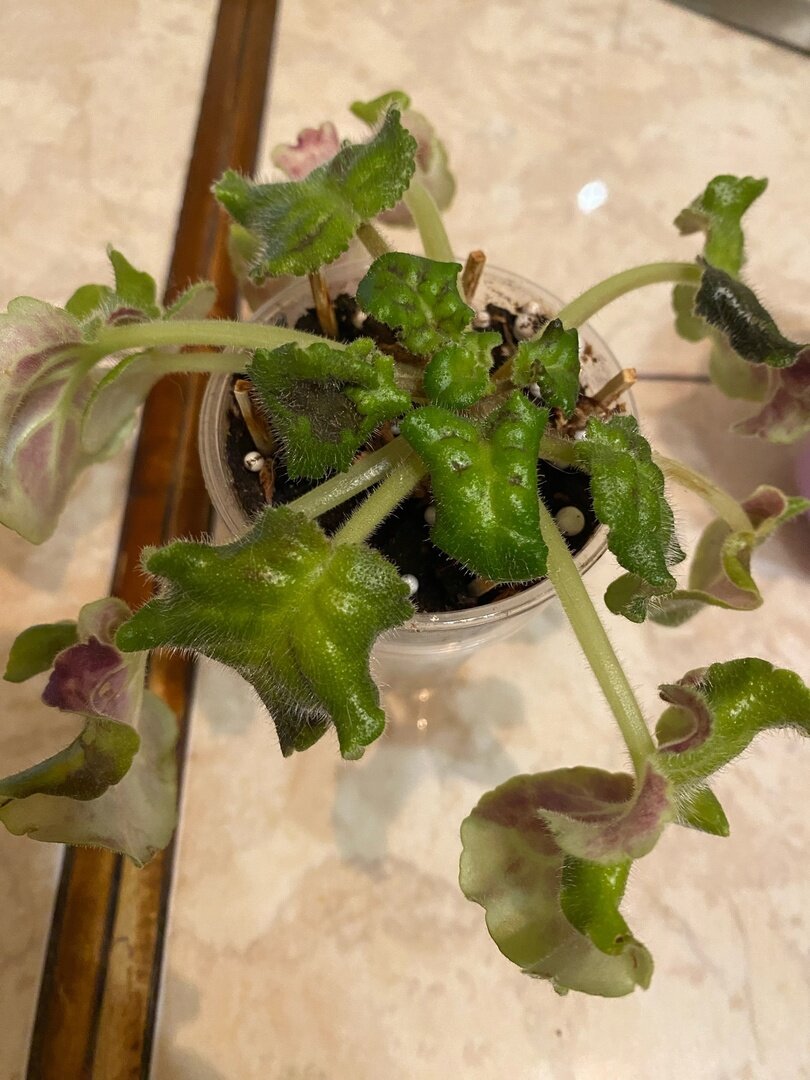 Вот такое фото прислали мне на почту.