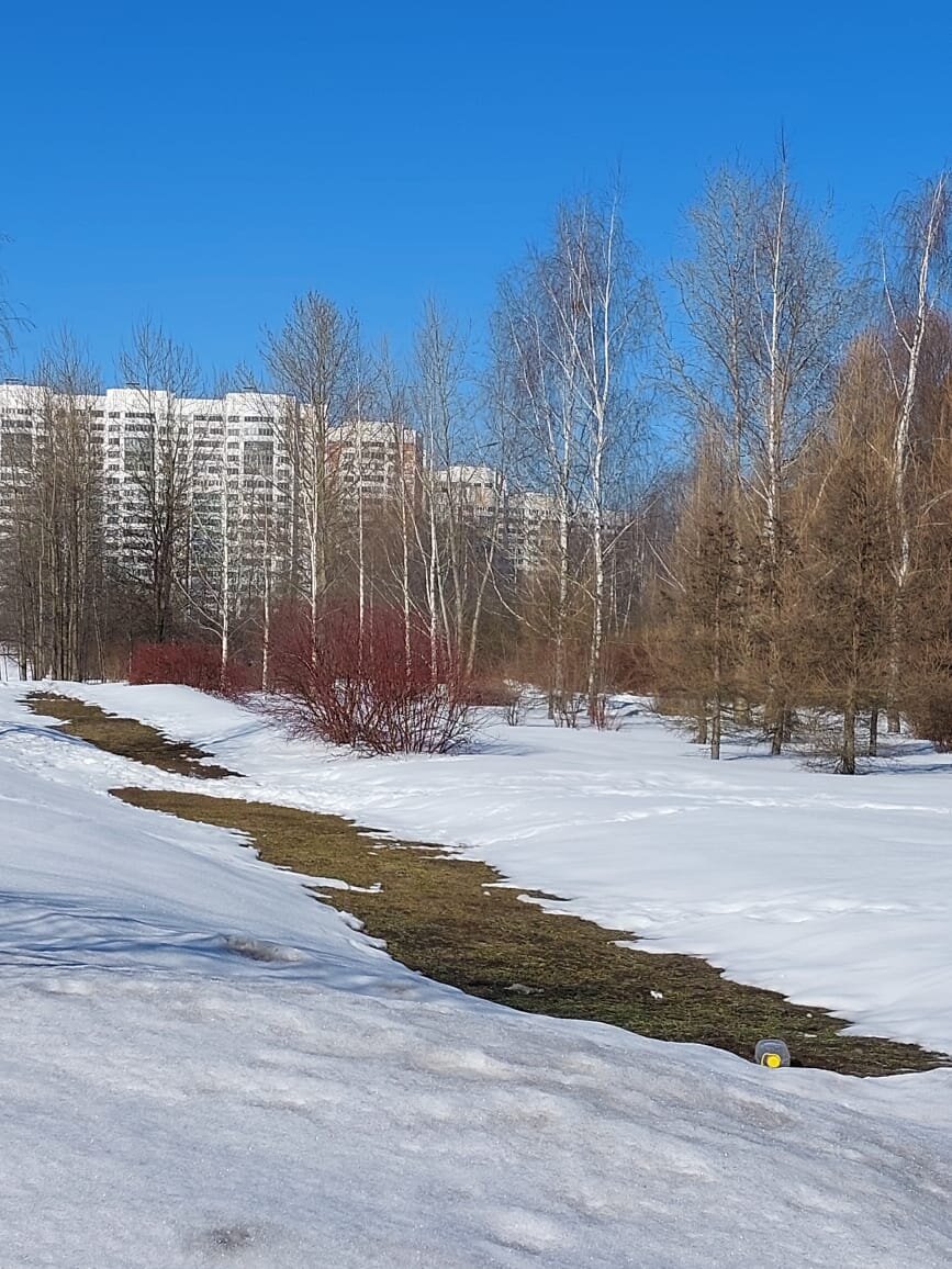 Из личного архива автора.