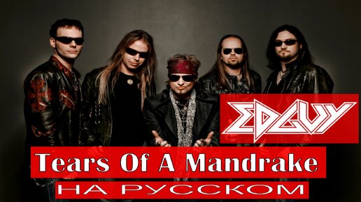 Edguy - Tears Of A Mandrake (cover на русском от Отзвуки Нейтрона) 2024