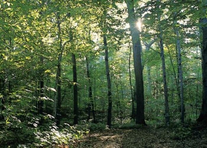 Источник фото: фото из открытых источников - для иллюстрации