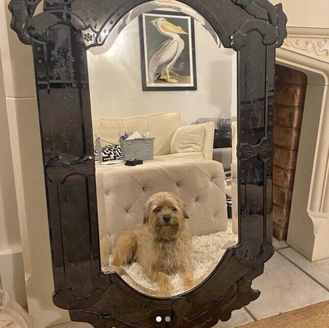 Источник: boredpanda.com