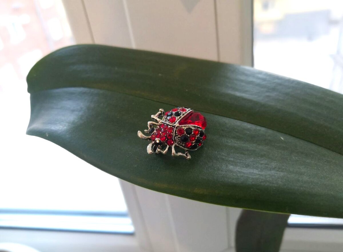 Фото: канал "Симоронские записки"