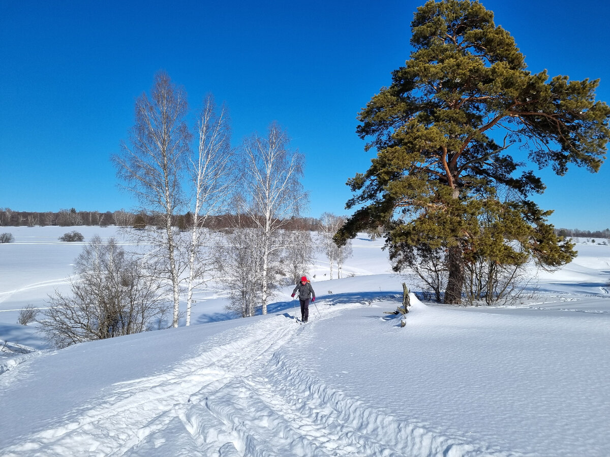 Я в верховьях Ширяевского оврага. 24.02.2024. 