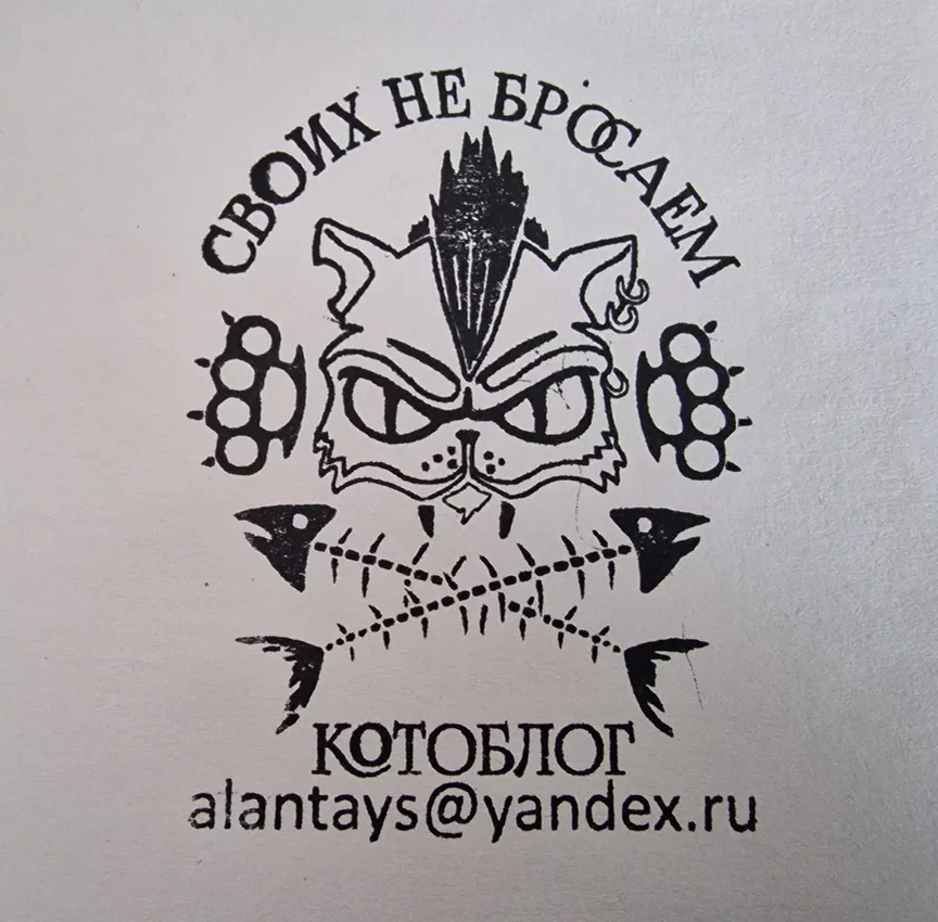 Котоблог телеграмм. Котоблог телеграмм
