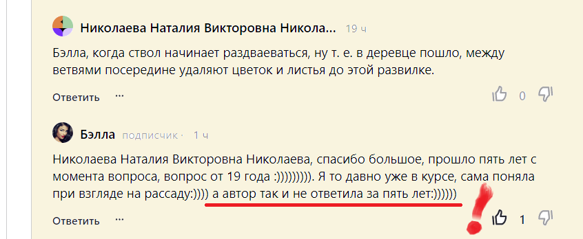 Как же так?! Ведь я тогда ответила!