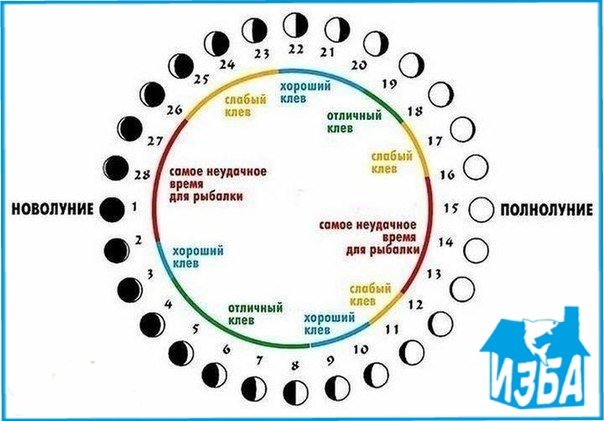 Лунный календарь рыболова на 2024 год