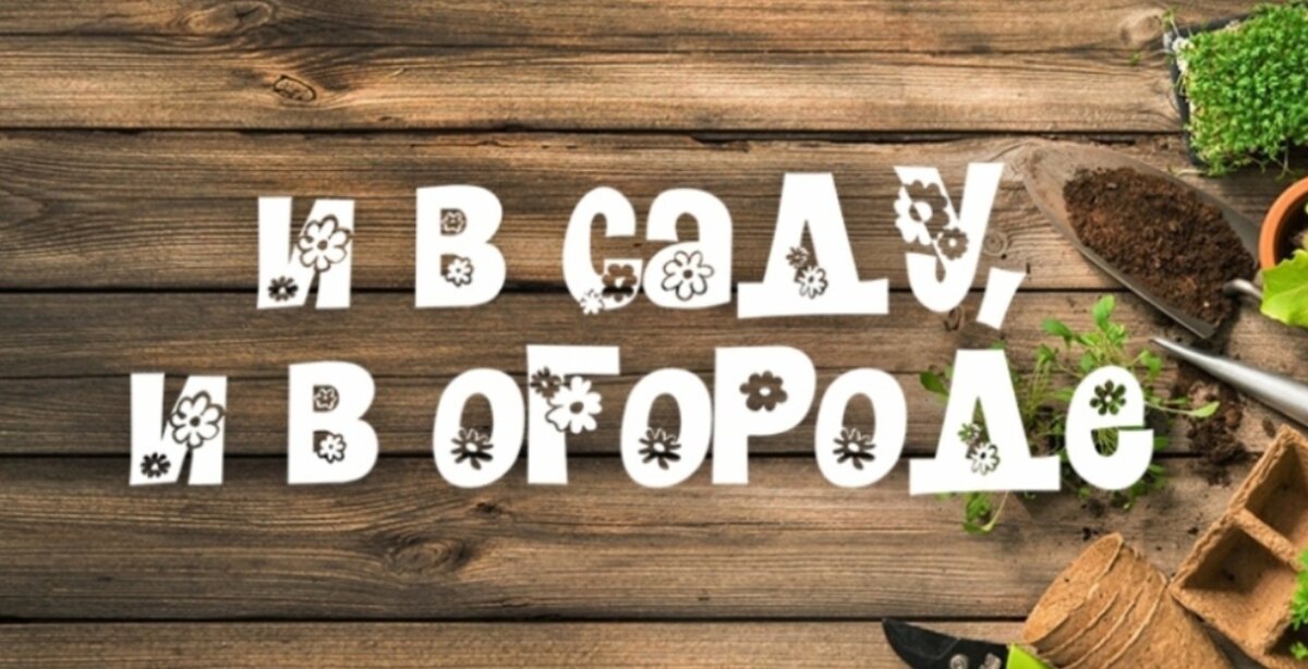    И в саду, и в огороде - 26.02.2024 Биопрепараты для защиты растений