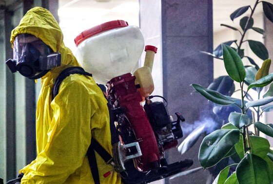    Как избавиться от тараканов