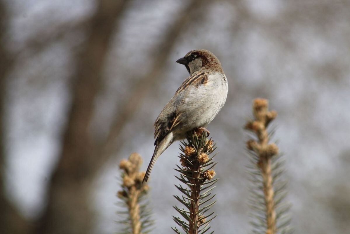 Фото: Е. Зимней 