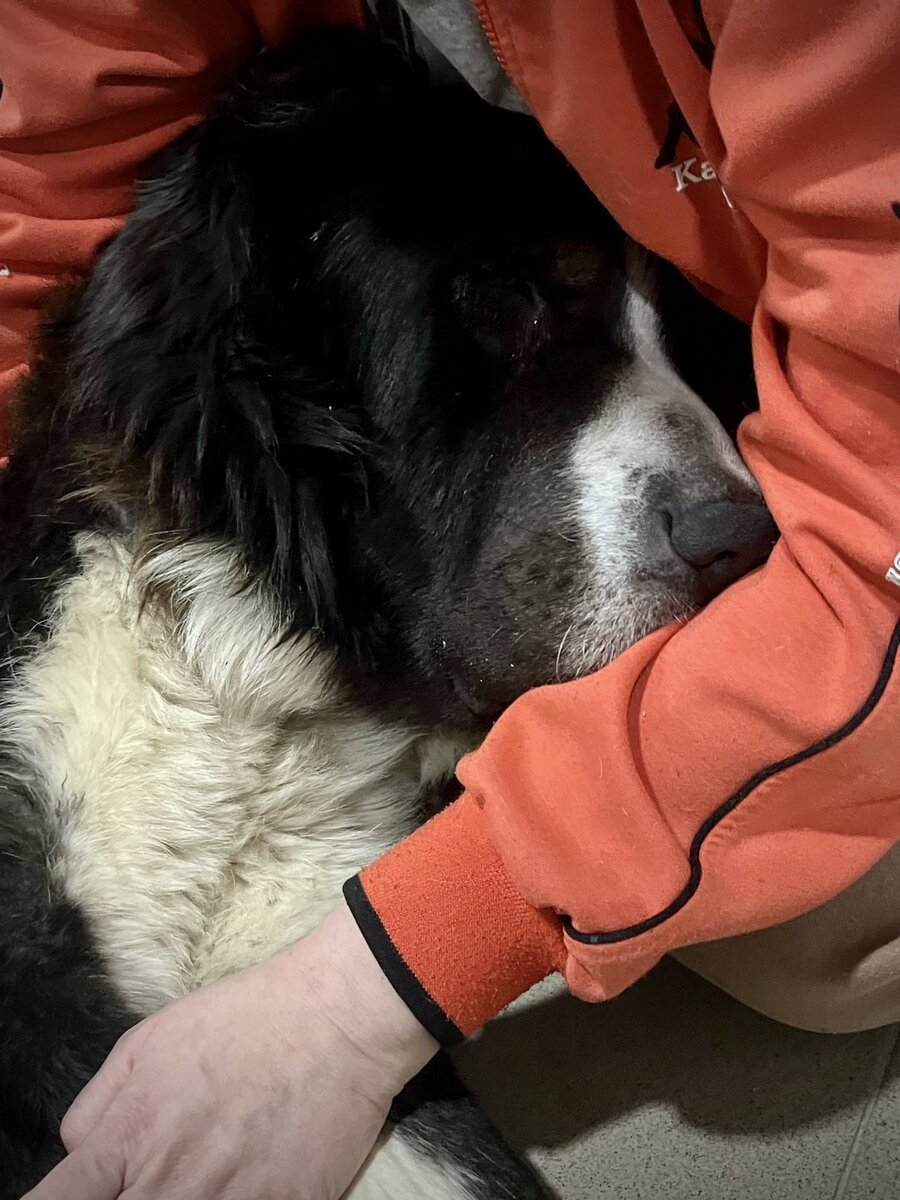 Наш Джеф. Парень всё ещё лечится