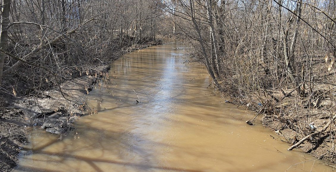    Фото: bangkokbook.ru