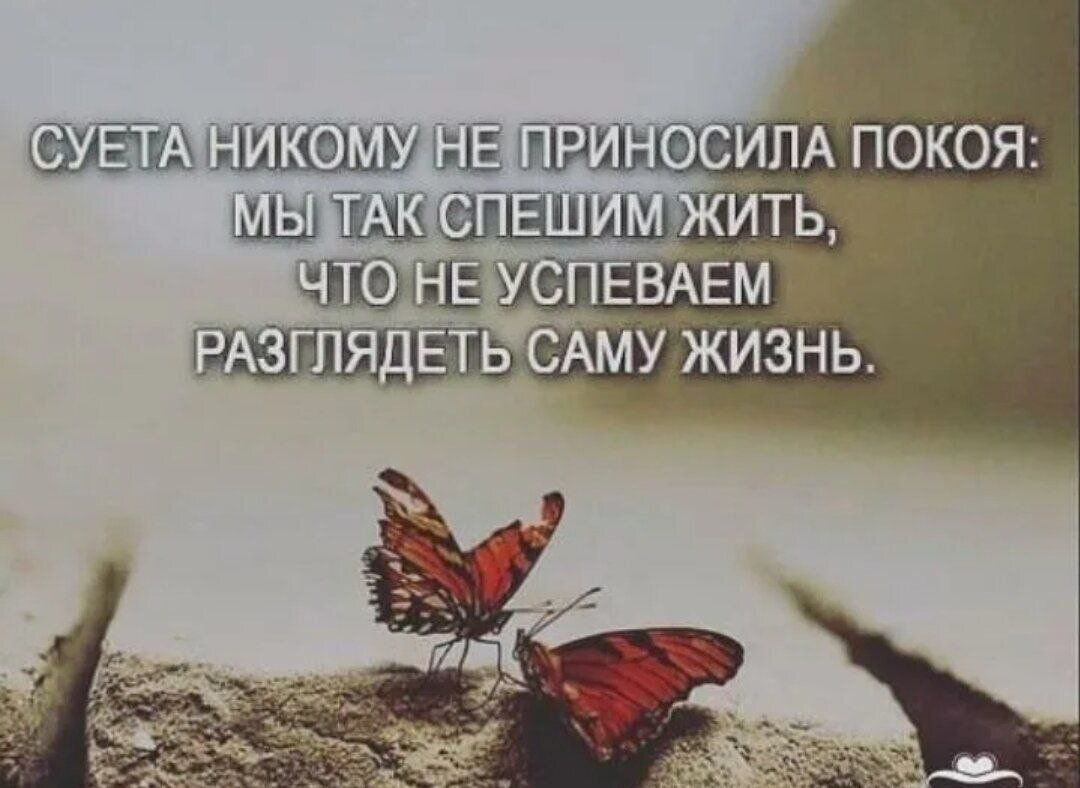 Знаете такую суету. Суета надпись. Суета надпись большими буквами на черном фоне. Знаете такую суету. Sueta надпись.