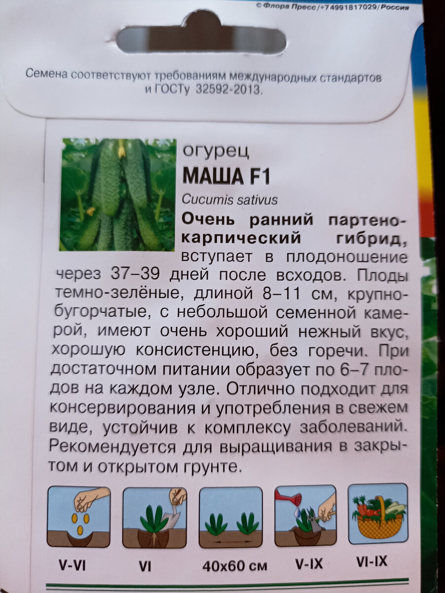 На что нужно обращать внимание при выборе семян. Советы новичкам | Все на  дачу! | Дзен